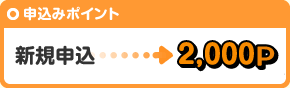 新規申込みで2,000P