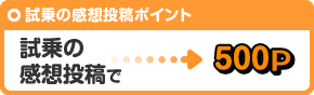 試乗の感想投稿で500P