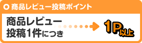商品レビュー投稿ポイント 商品レビュー投稿１件につき１P以上