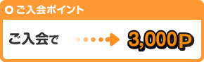 入会:3,000ポイント