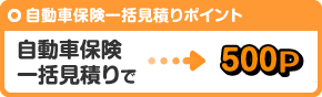 自動車保険一括見積りで500P
