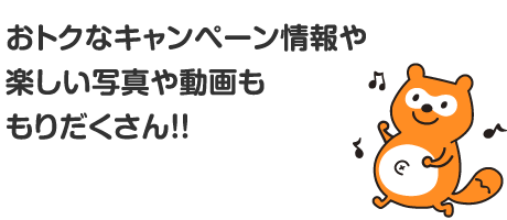 おトクなキャンペーン情報や楽しい写真や動画ももりだくさん!!