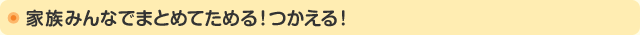 家族みんなでまとめてたまる！つかえる！